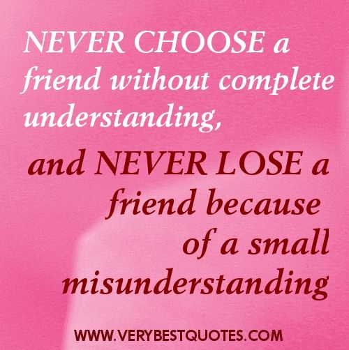 Quotes About Friendship Misunderstanding 14