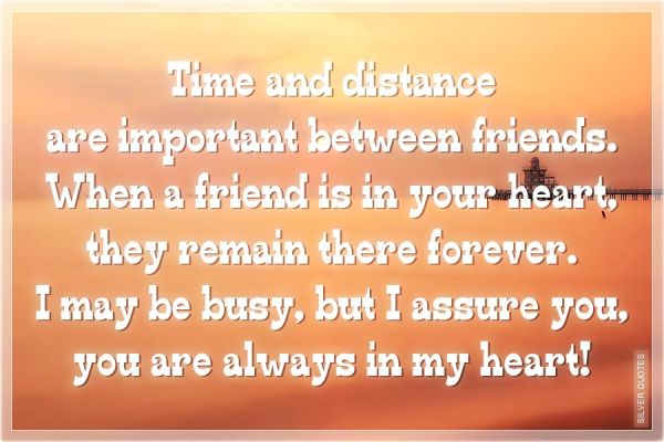 Quotes About Friendships And Distance 12