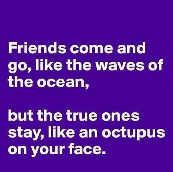 Quotes About Funny Friendship 13