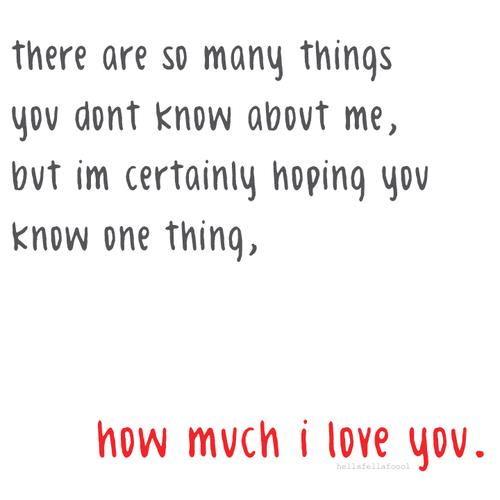 Quotes About How Much I Love You 16