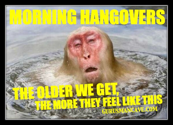 Very funny hangover memes photos