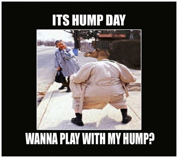 Very funny hump day memes image