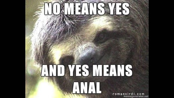 Amusing cool sexual sloth meme joke