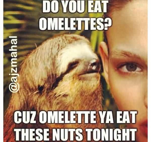 Amusing dirty sloth memes joke