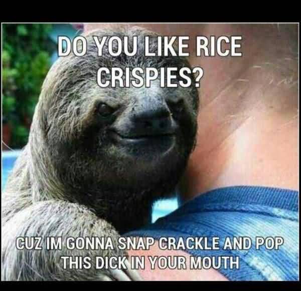 Amusing pervy sloth whisper meme joke