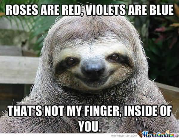 Amusing rapist sloth meme image