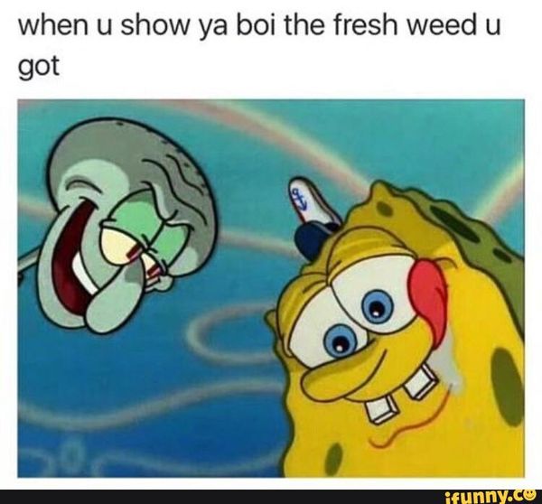Amusing spongebob weed memes picture