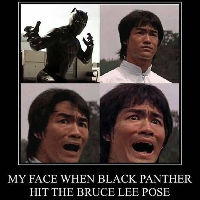 Black Panther Meme Funny Image Photo Joke 04
