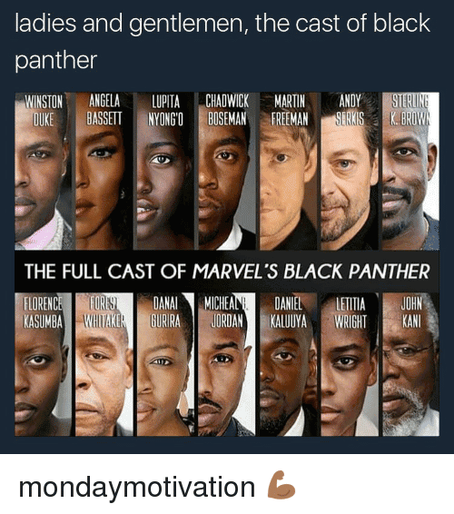 Black Panther Meme Funny Image Photo Joke 05