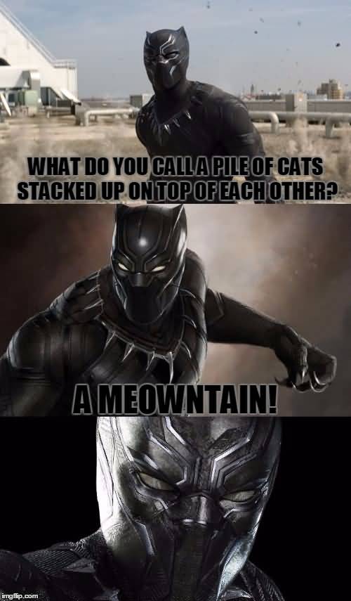 Black Panther Meme Funny Image Photo Joke 08