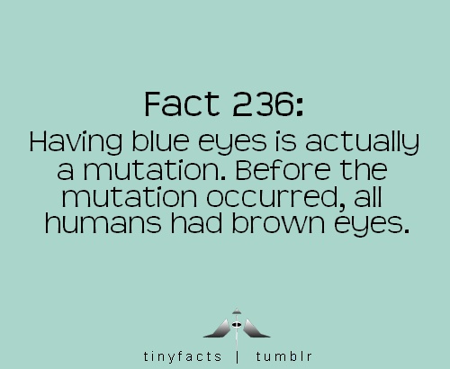 Blue Eyed Girl Quotes Meme Image 13