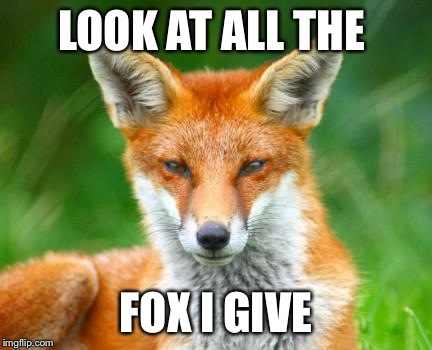 Fox Meme Funny Image Photo Joke 05