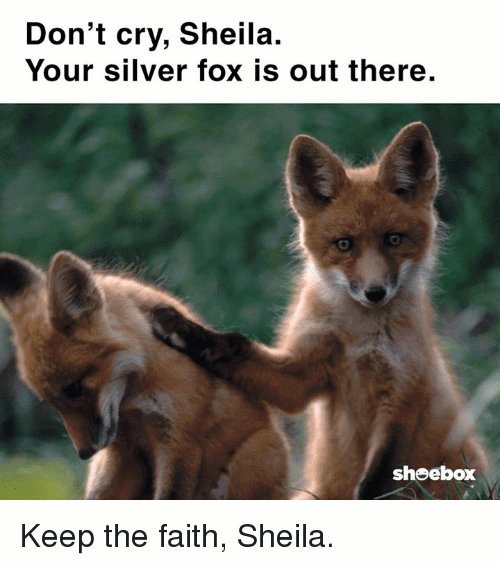 Fox Meme Funny Image Photo Joke 08