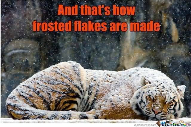 Frosted Flakes Meme Funny Image Photo Joke 05