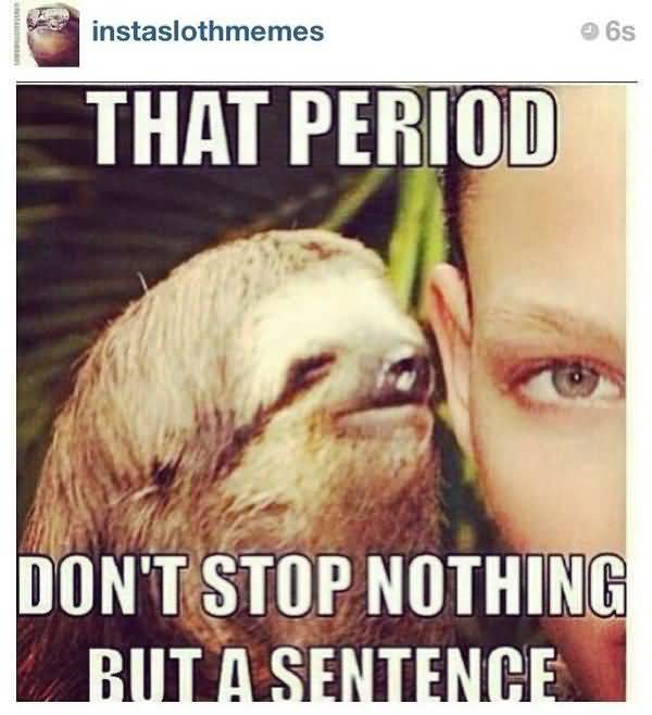 Funniest best sloth jokes meme joke