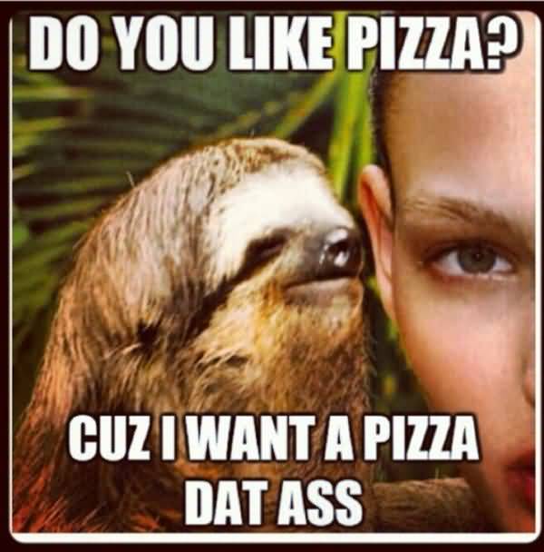 Funniest best true sloth jokes meme photo