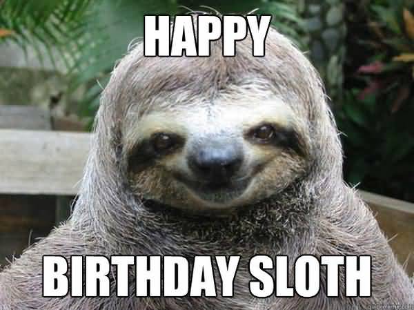 Funniest birthday sloth meme picture