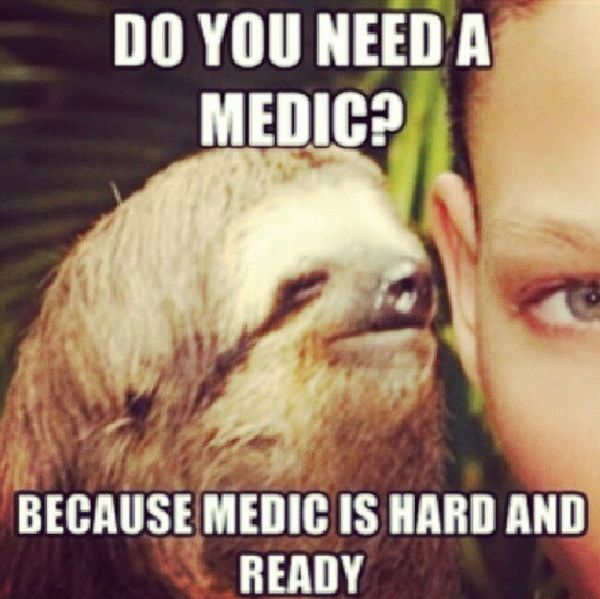 Funniest cool dirty sloth memes joke