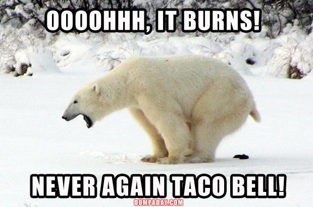 Funny Bear Quotes Meme Image 01
