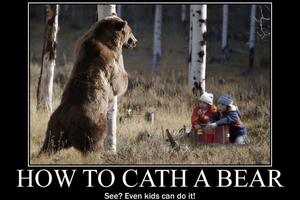 Funny Bear Quotes Meme Image 04