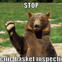 Funny Bear Quotes Meme Image 05