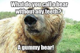 Funny Bear Quotes Meme Image 08