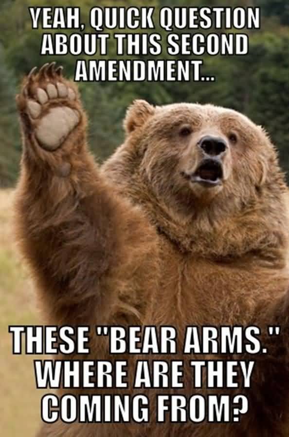 Funny Bear Quotes Meme Image 13