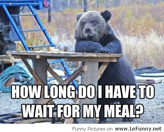 Funny Bear Quotes Meme Image 18