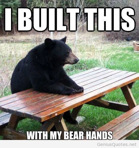 Funny Bear Quotes Meme Image 20