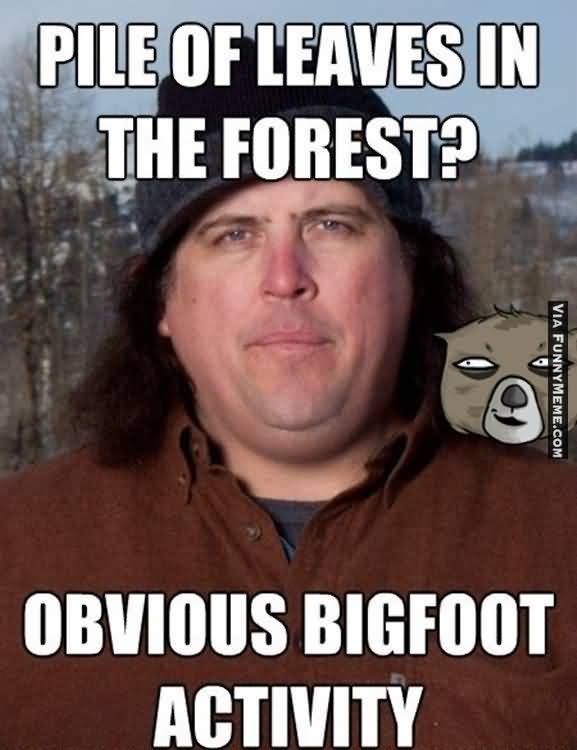 Funny Bigfoot Memes Funny Image Photo Joke 04