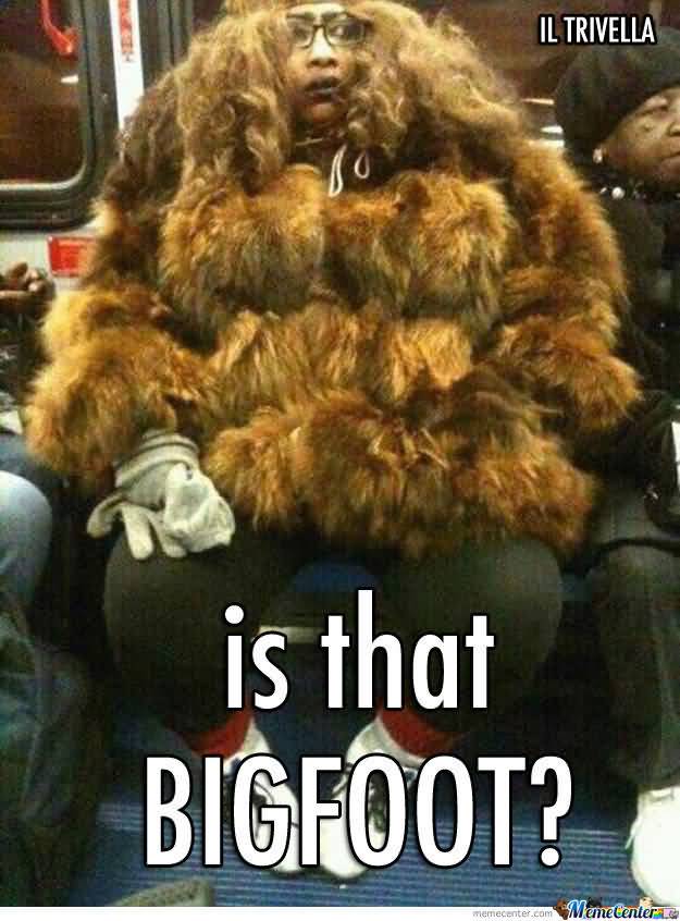 Funny Bigfoot Memes Funny Image Photo Joke 14