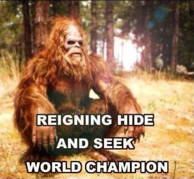 Funny Bigfoot Memes Funny Image Photo Joke 15