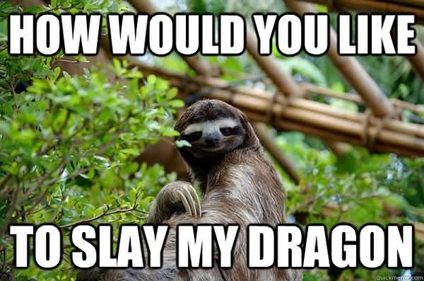 Funny amazing dragon sloth meme image