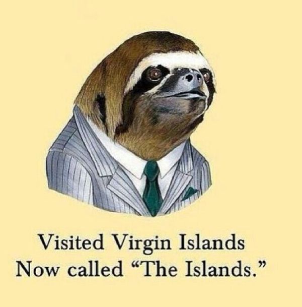 Funny amazing pervy sloth whisper meme photo