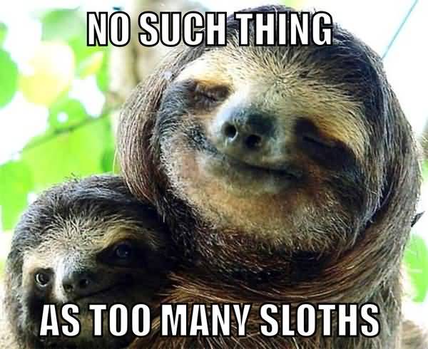 Funny amazing sloth love meme picture