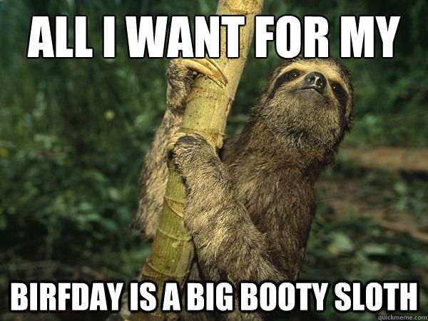 Funny best birthday sloth meme image