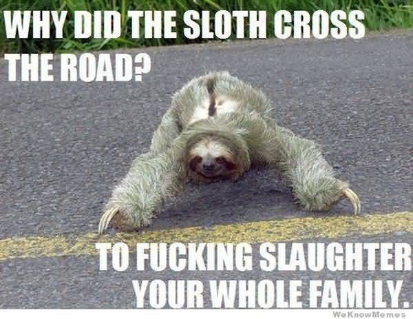 Funny best common sloth jokes meme photo