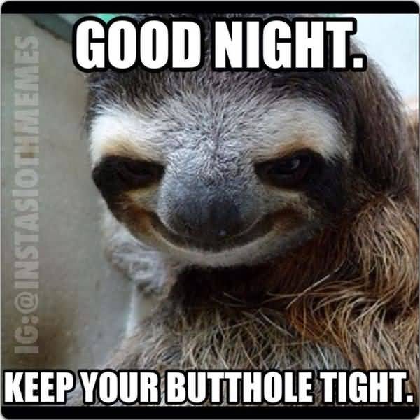 50 Top Sloth Meme Images And Funny Jokes Quotesbae