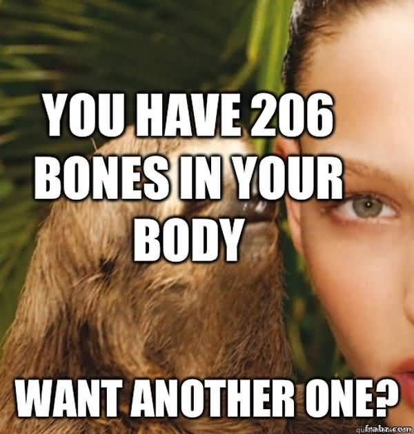 Funny best rape sloth pictures meme jokes
