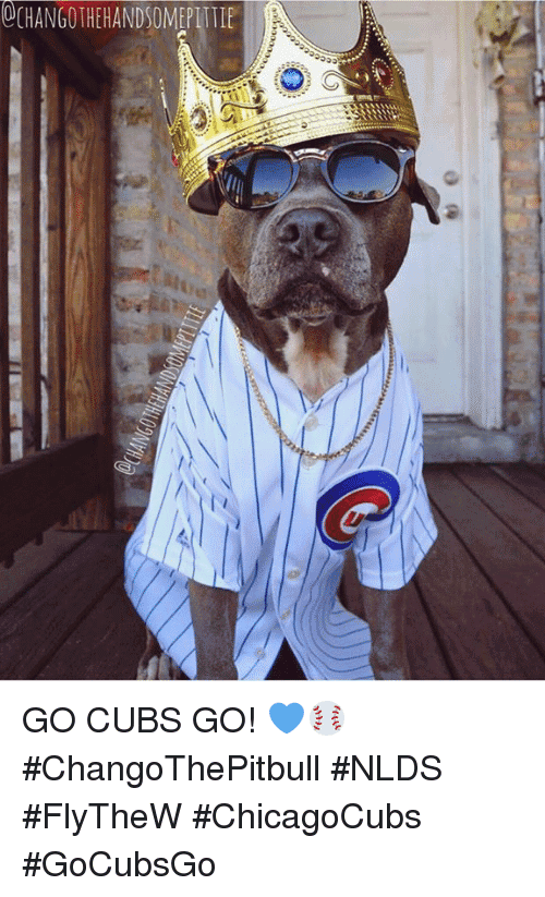 Go Cubs Go Meme Image Photo Joke 04