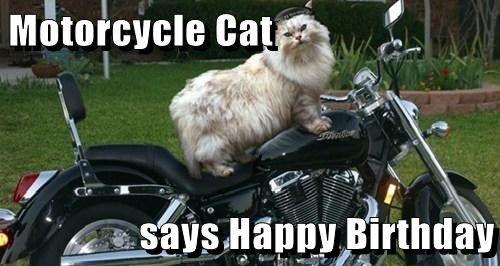 Happy Birthday Motorcycle Meme Funny Image Photo Joke 10