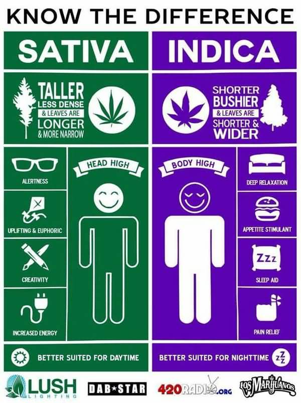 Hilarious medical marijuana meme image