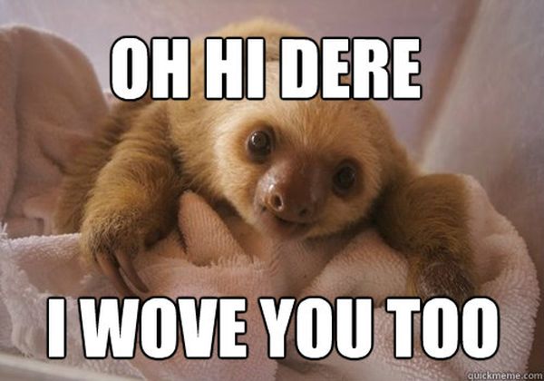Hilarious sloth love meme joke