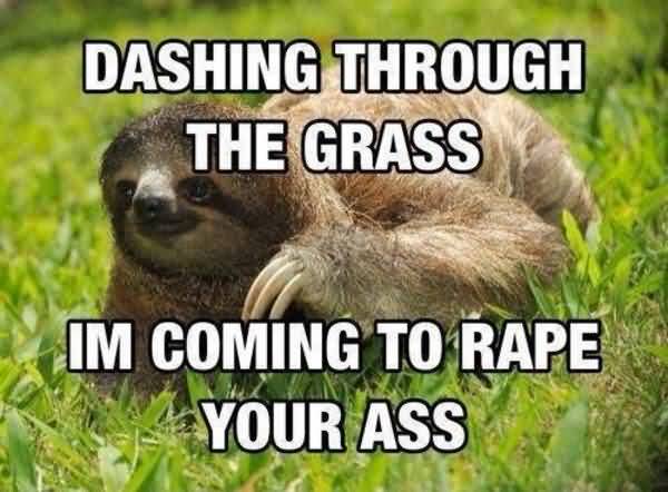 Hilarious true rapist sloth meme image