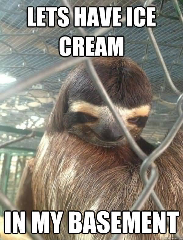 Hilarious usual creepy sloth meme picture