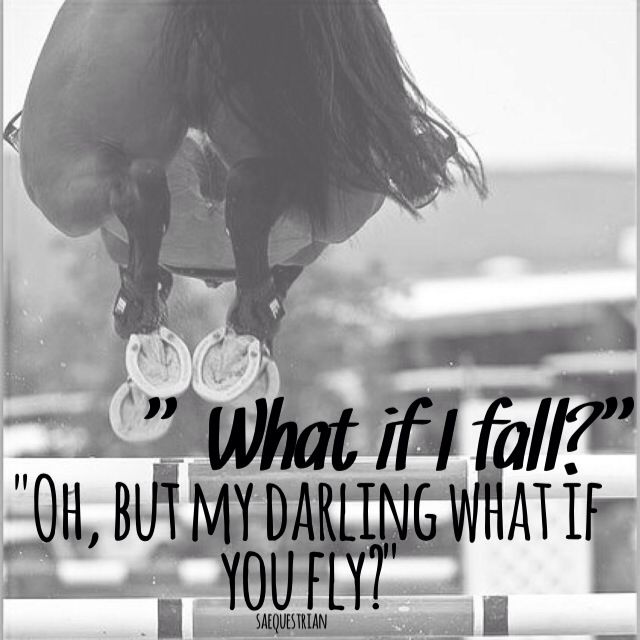Horse Jumping Quotes Meme Image 03