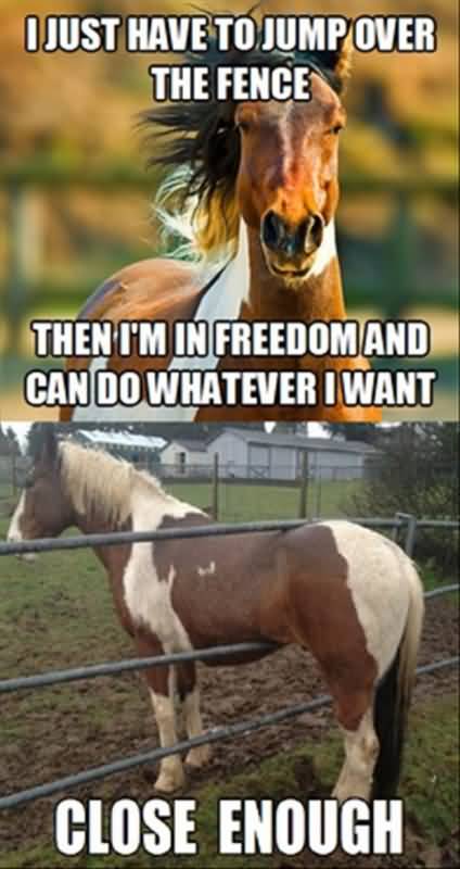 Horse Jumping Quotes Meme Image 07