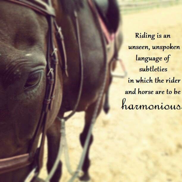 Horse Jumping Quotes Meme Image 13