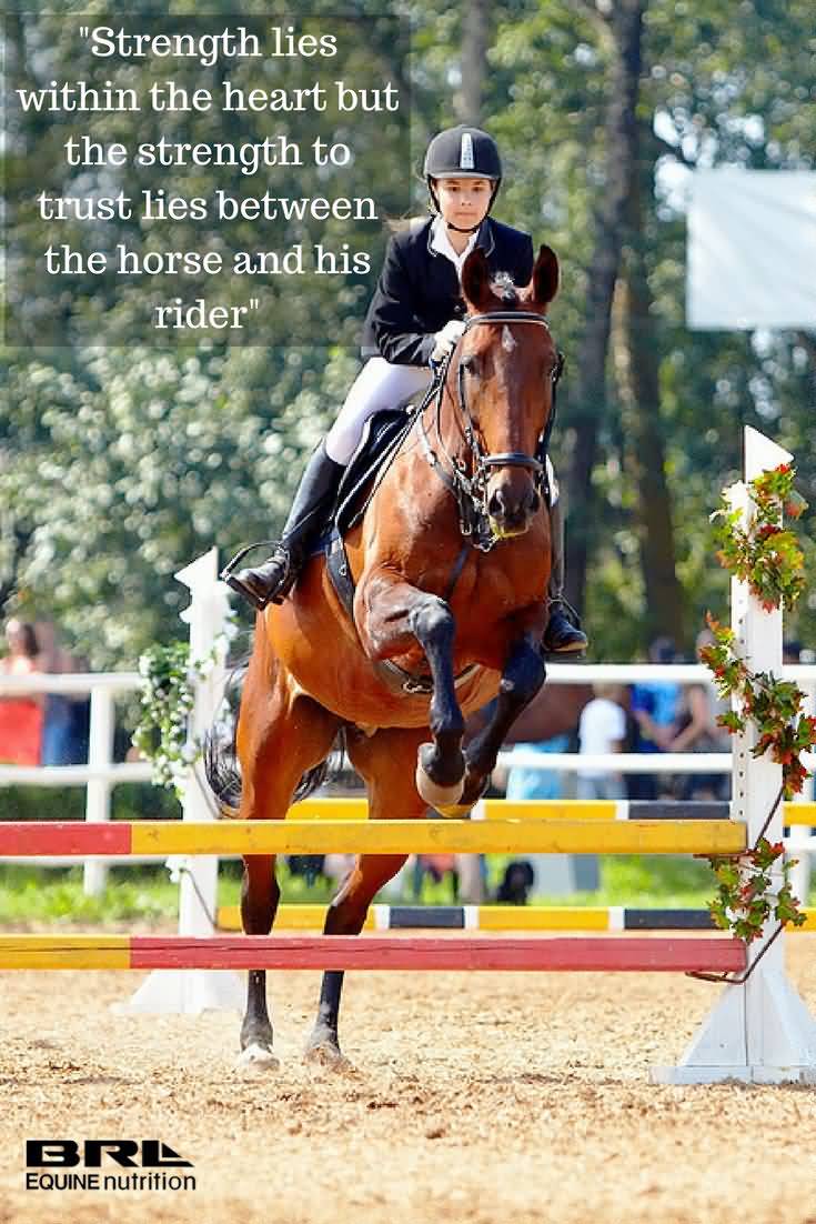 Horse Jumping Quotes Meme Image 16