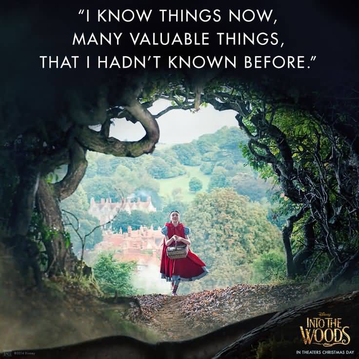 Into The Woods Quotes Meme Image 17